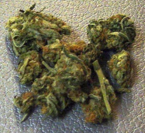 5 Top Economic Reasons Why Marijuana Was Legalized