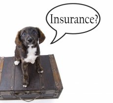 When Your Insurer Refuses to Pay: Fight Back by Following This Simple 5-Step Procedure