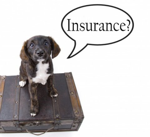 When Your Insurer Refuses to Pay: Fight Back by Following This Simple 5-Step Procedure