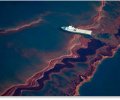 BP Oil Spill Conspiracy