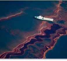 The BP Oil Spill Conspiracy