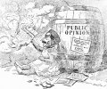 public opinion