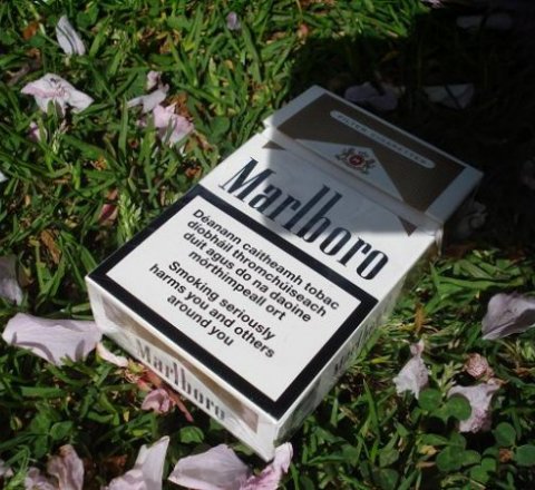 Governments and cigarettes