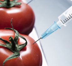 A fairly (un)educated look into PROs and CONs of GMOs