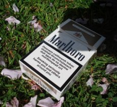 Should the government do more to discourage cigarette smoking?